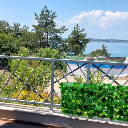 Anthic 7 3 Apartment